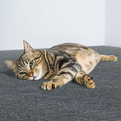 40*100cm Trimmable Self-Adhesive Cat Scratcher Carpet For Covering Cat Tower